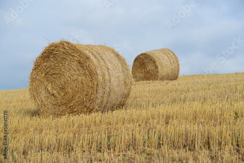 Hay bales on the field after harves