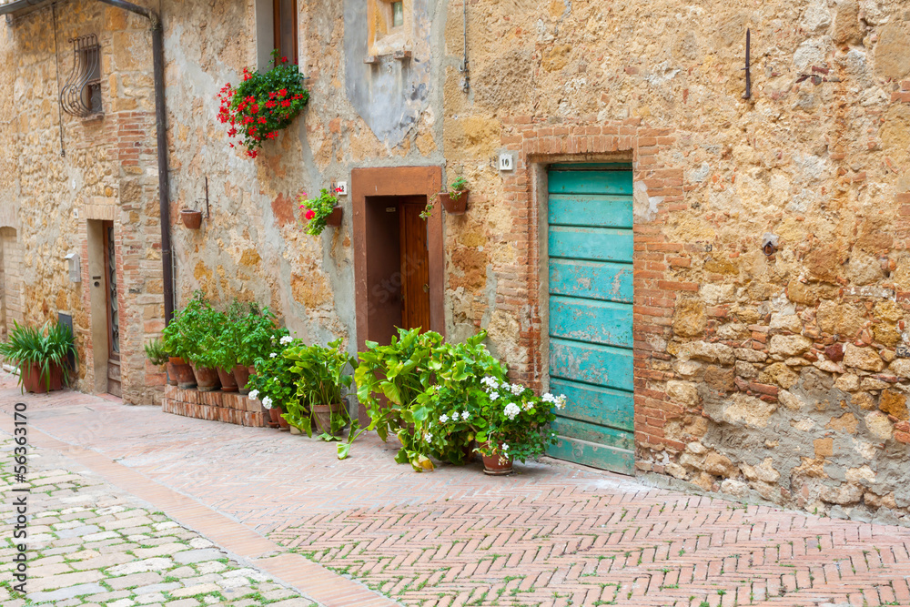Old elegant doors of Tuscan Italy