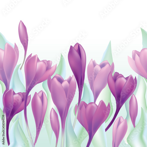 Flower crocus seamless background. Floral spring border.