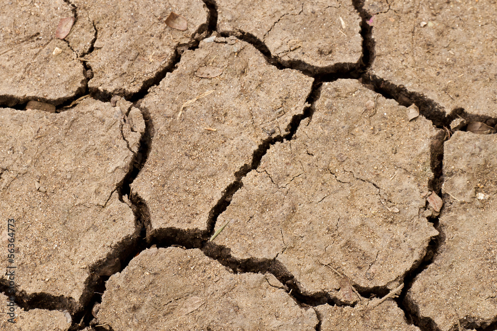 Fototapeta premium Cracked soil ground