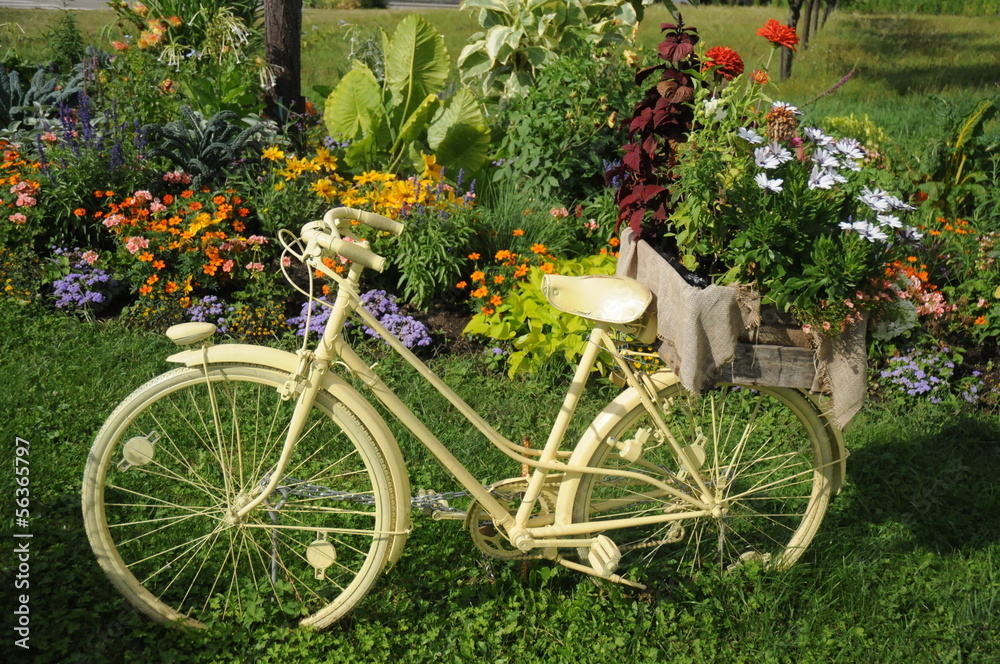 White Bycicle With Flowers