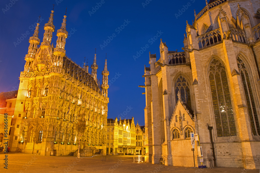 Leuven - Gothic town hall and st. Peters