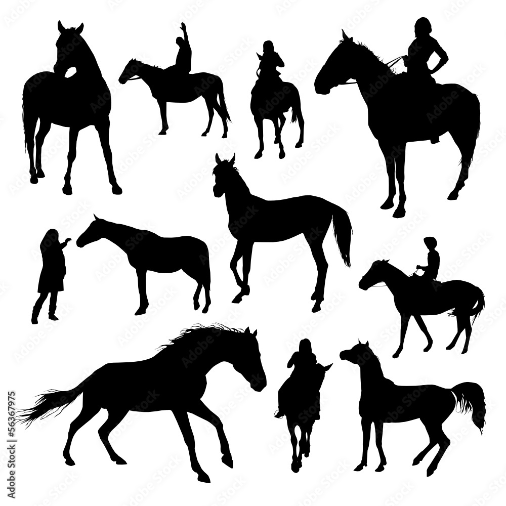 Fototapeta Set of vector horses silhouettes