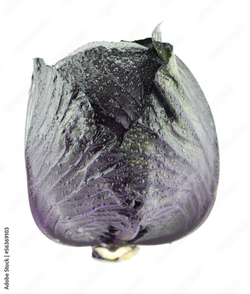 Naklejka premium Fresh red cabbage