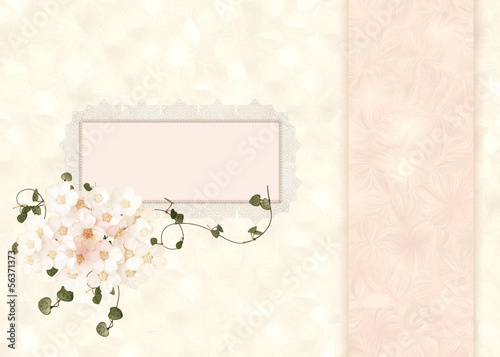 lacy frame on pastel floral background © driftwood