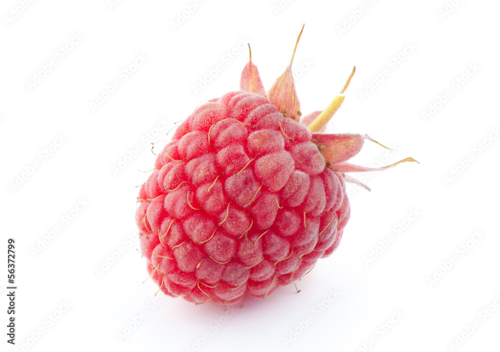Red ripe raspberry on white background