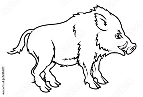 Stylised boar illustration