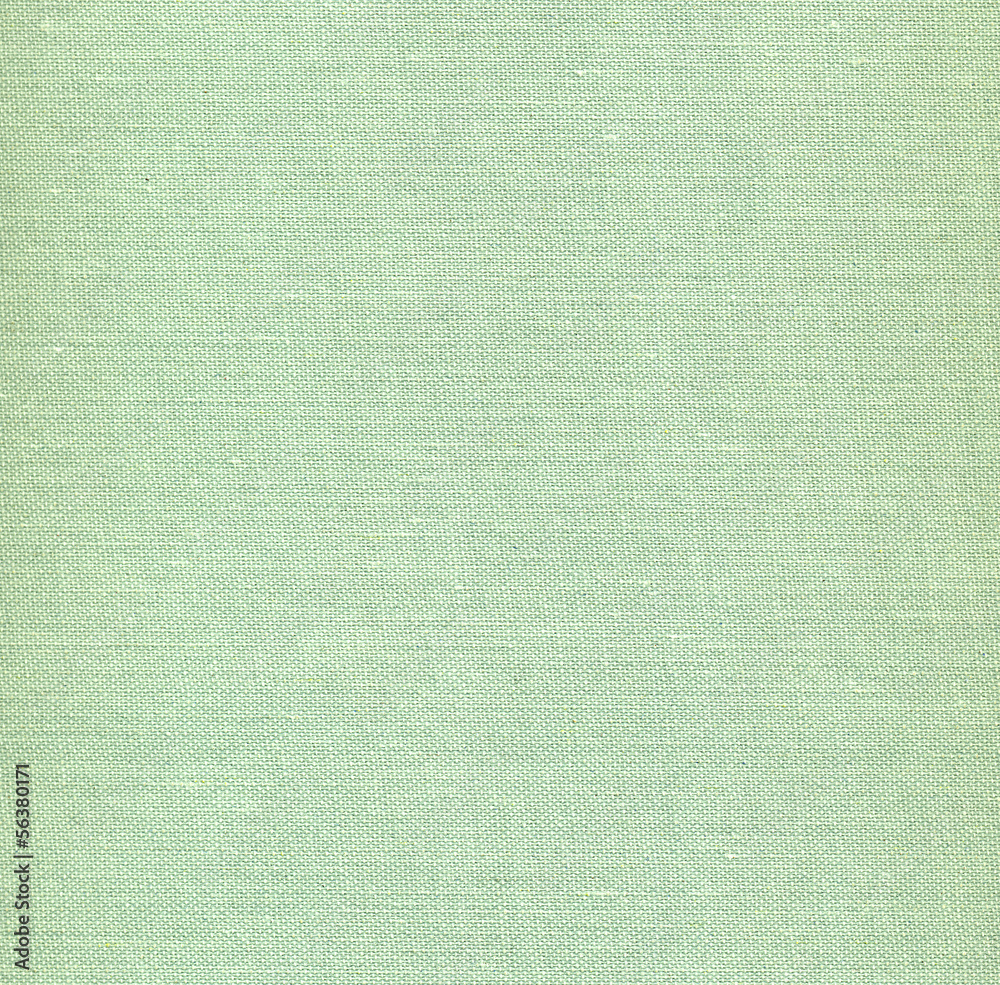 Fototapeta premium green paper background