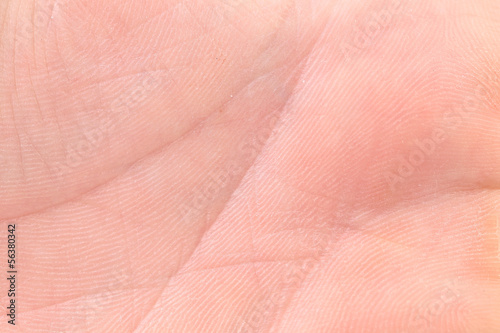 Background of hand palm