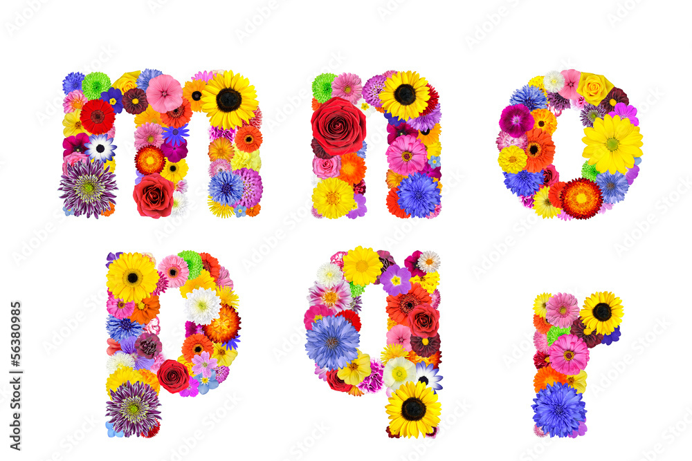 Floral Alphabet Isolated on White - Letters M, N, O, P, Q, R