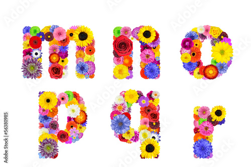 Floral Alphabet Isolated on White - Letters M, N, O, P, Q, R photo