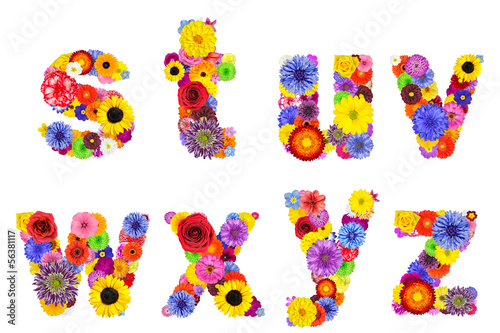 Floral Alphabet Isolated - Letters S, T, U, V, W, X, Y, Z