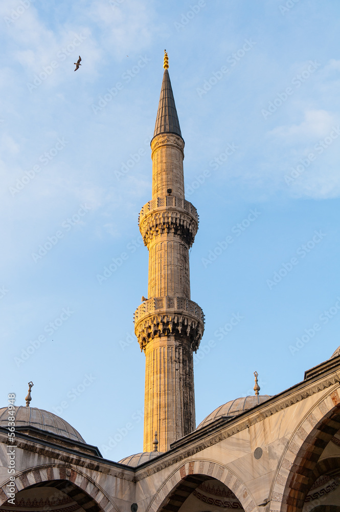 The Blue Mosque at Dusk in Istanbul