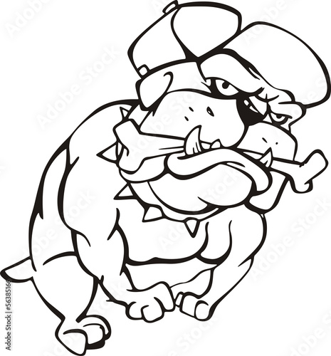 bulldog with bone