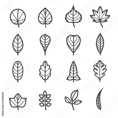 Leafs Icons for Pattern with White Background