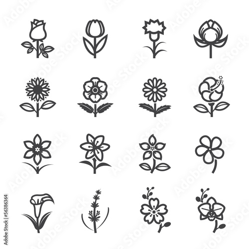 Flower Icons for Pattern with White Background