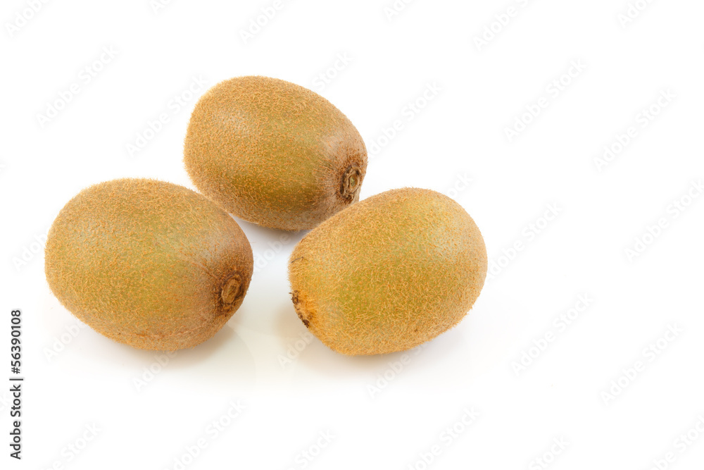kiwi fruit isolated on white background kiwi fruit isolated on white background