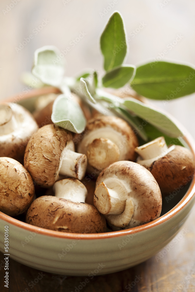 button mushrooms button mushrooms