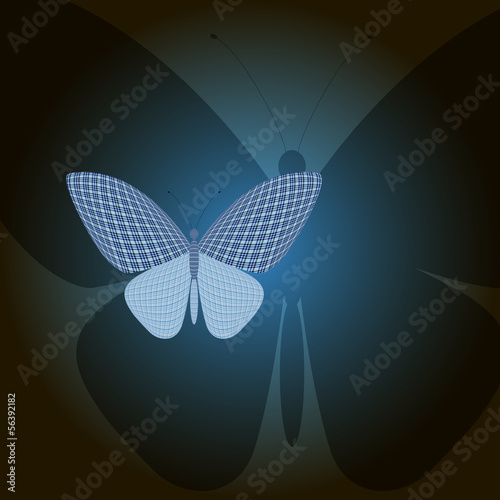 butterfly