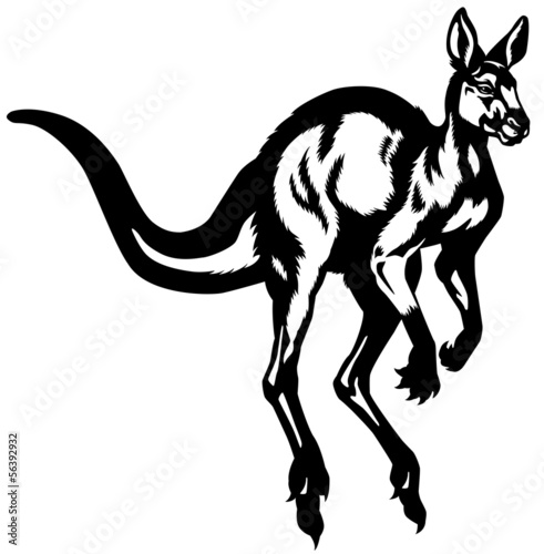 kangaroo black white