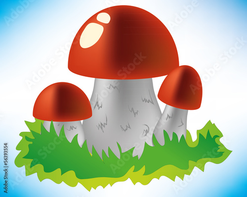 Red mushroom composition