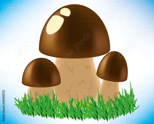 Mushroom composition