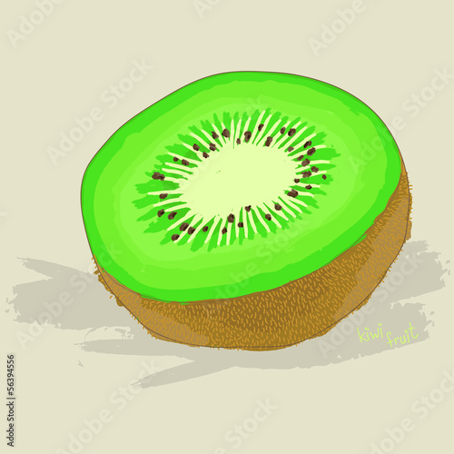 Hand drawn fresh kiwi fruit