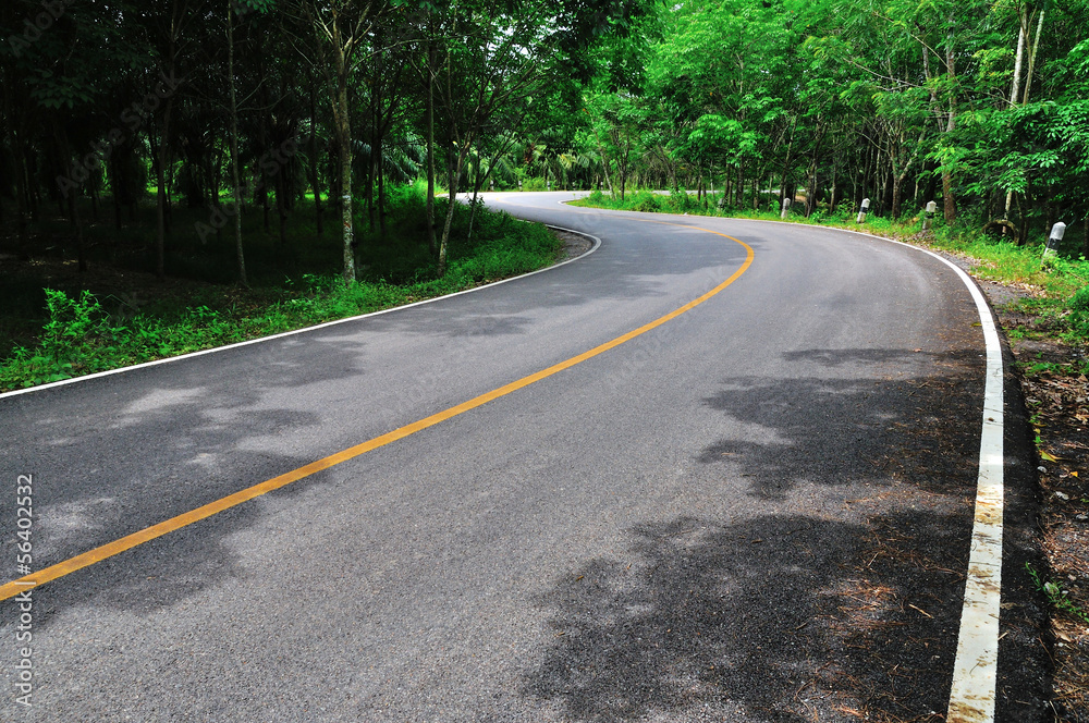 Rural road in the rubber plantation