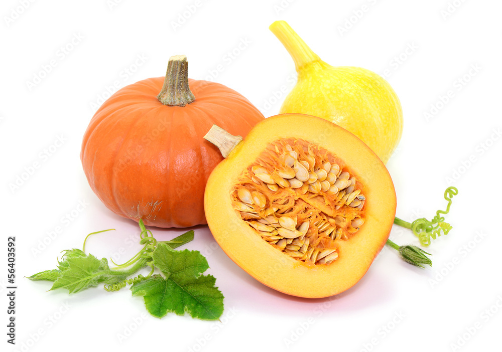Kochen mit Kürbis Kochen mit Kürbis
