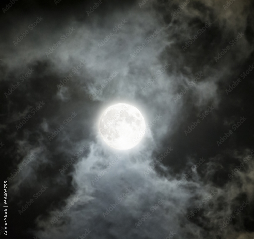 Shiny Moon Shiny Moon