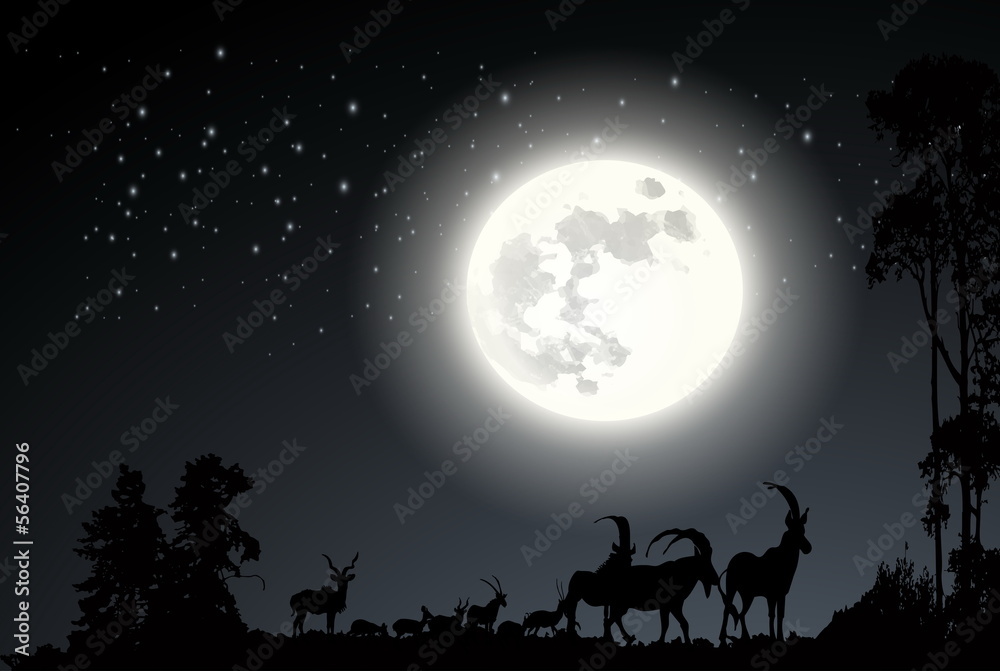 Deer on the moonlight Landscape background vector