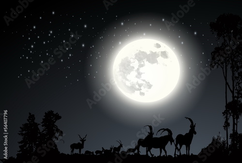 Deer on the moonlight Landscape background vector © somsong