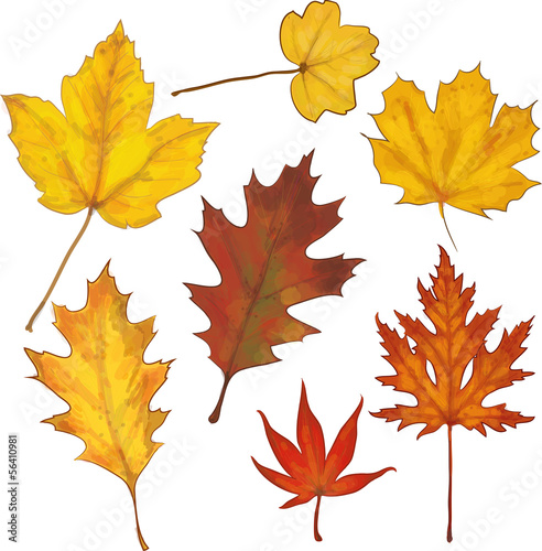 Laub gemalt Herbst