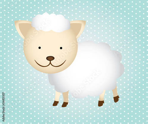 sheep photo