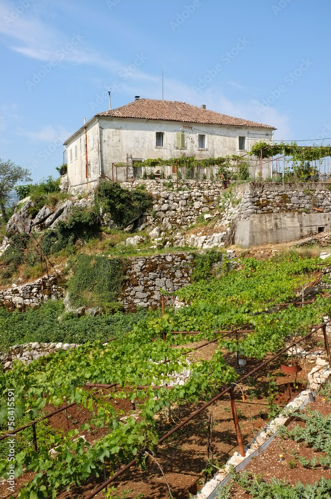 Rural House On The Hill, Montenegro