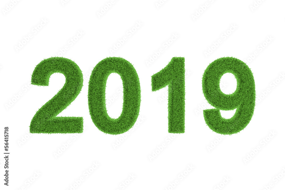 2019 New Year date in green grass 2019 New Year date in green grass