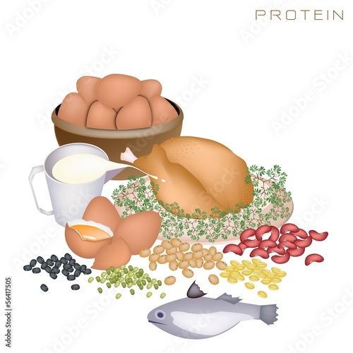 Health and Nutrition Benefits of Protein Foods