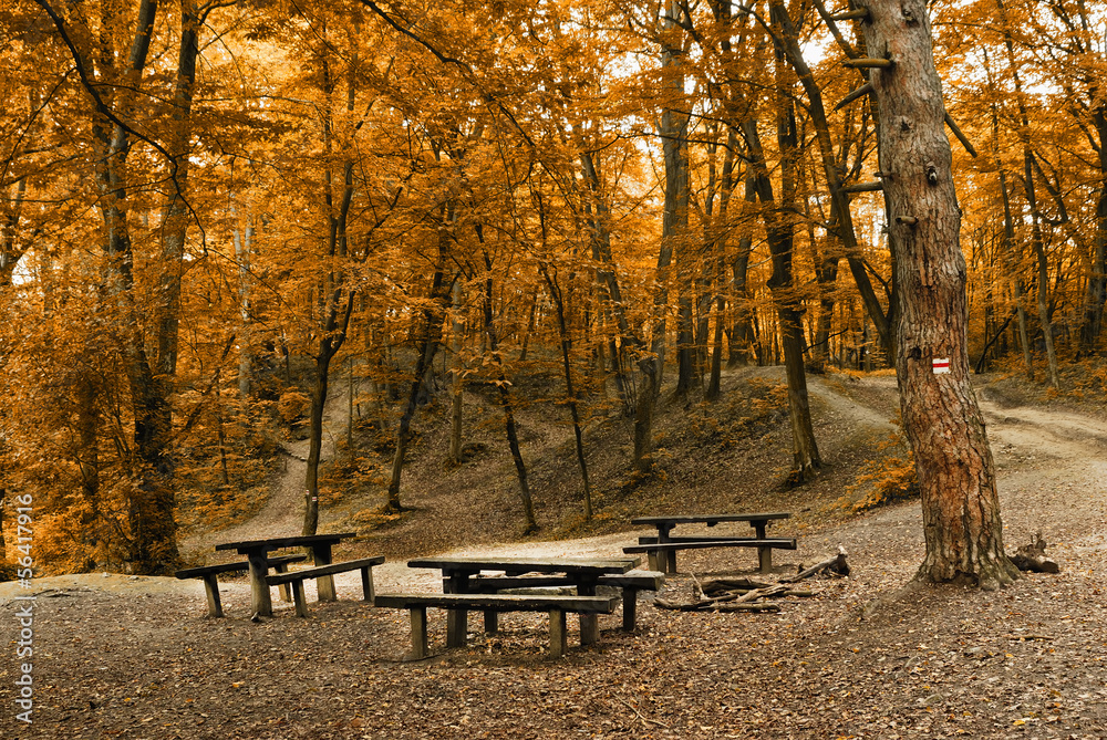 Autumn camp Autumn camp