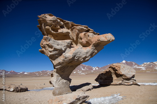 Arbol de Piedra, Bolivien