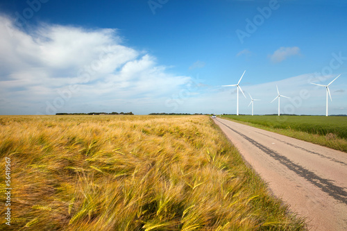 The field of wheat and wind engines in north France, Normandy photo