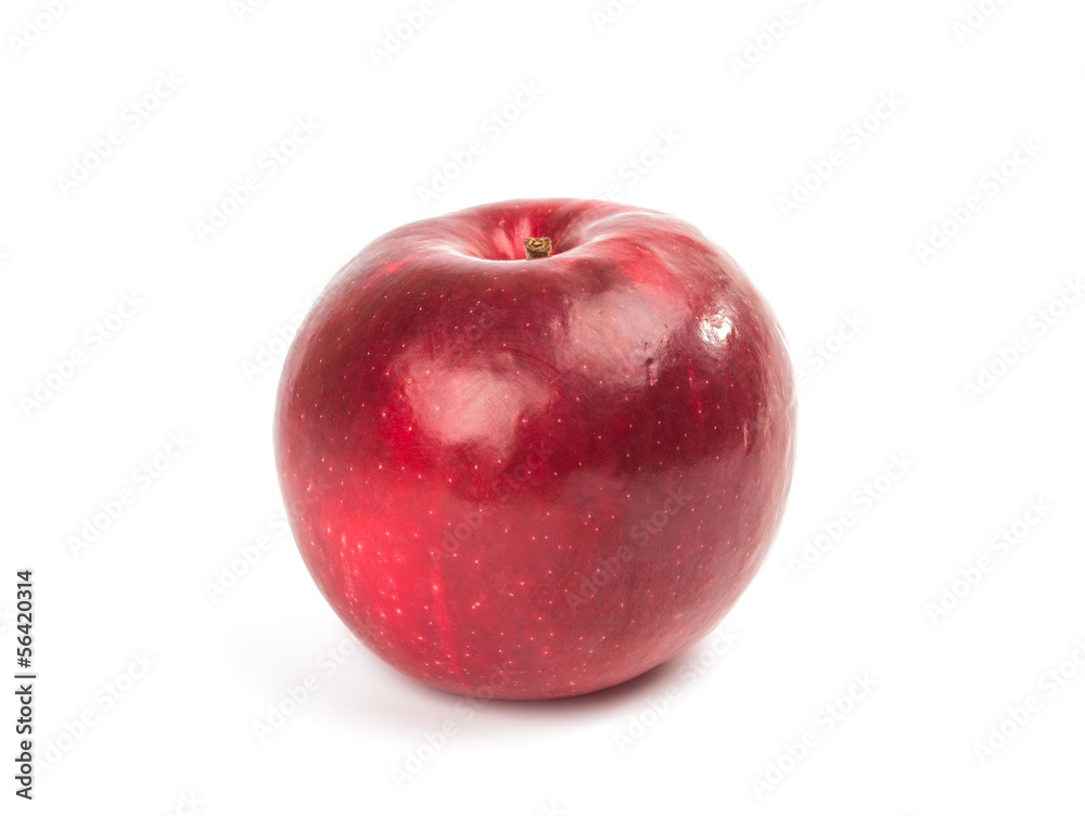 red ripe apple isolated red ripe apple isolated