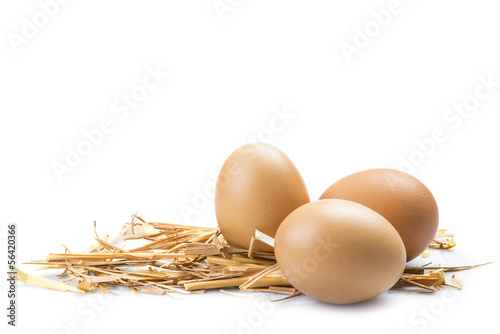 Huevos de gallina aislados sobre un fondo blanco