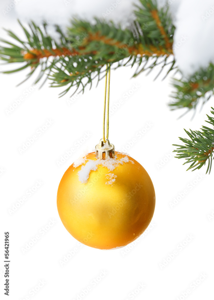 christmas tree branch with snow and ornament