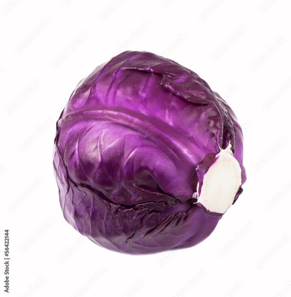 fresh red cabbage on a white background fresh red cabbage on a white background