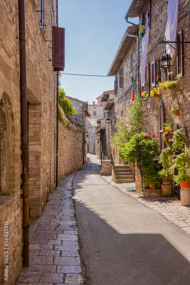Fototapeta Droga z kwiatami, Assisi
