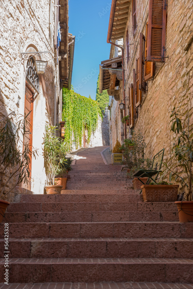 Fototapeta premium Vicolo storico, Assisi