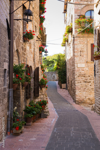 Strada medievale con fiori  Assisi