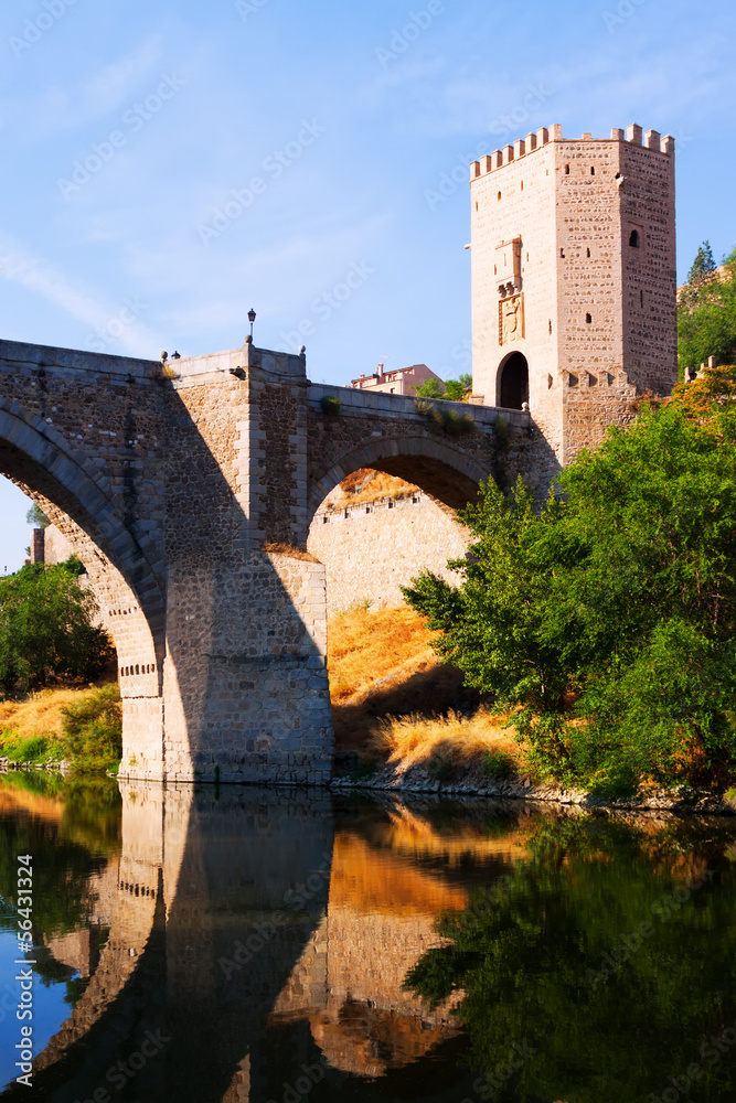 Obraz premium Puente of Alcantara over Tagus River