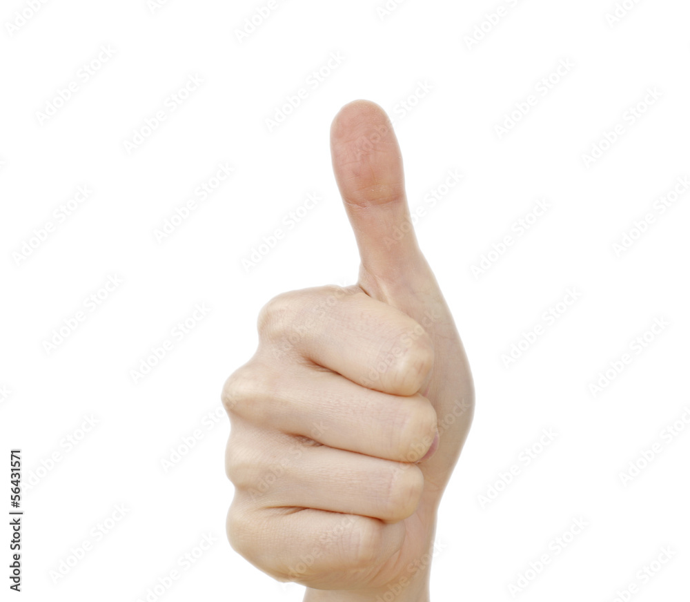 Hand isolated on white Hand isolated on white