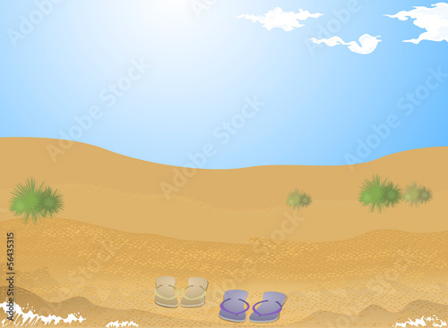 Beautiful beach and sand with summer slipper